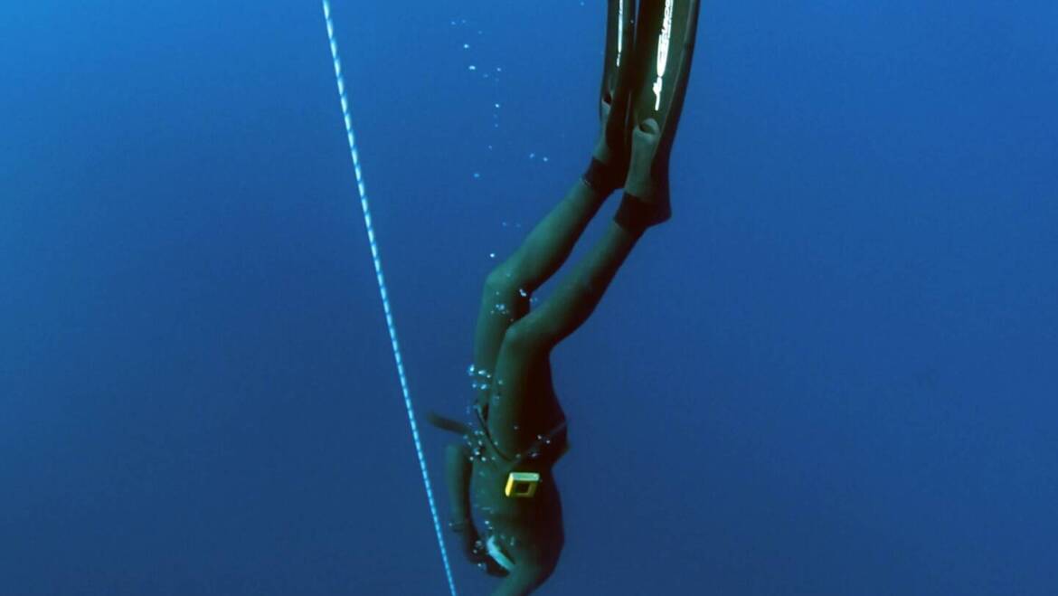 The Difference between Freediving, Snorkeling, and Skin Diving