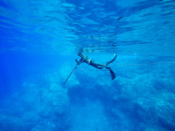 Spearfishing – Why Taking a Freediving course first is important